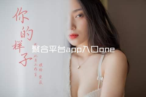 聚合平台app入口one